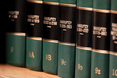 Photograph of Law books on shelf.